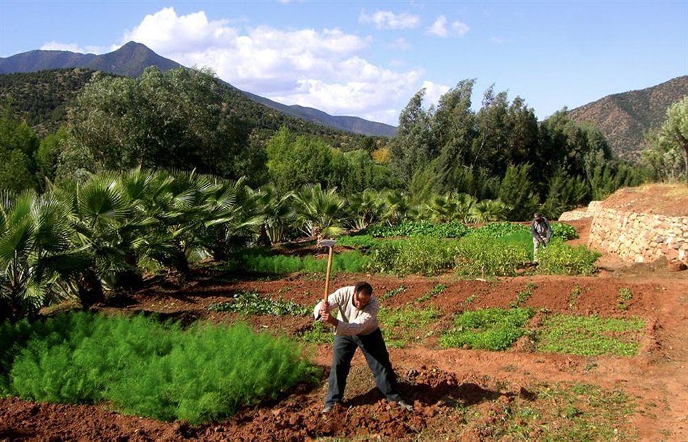 Domaine Malika Hotell Moulay Brahim Exteriör bild